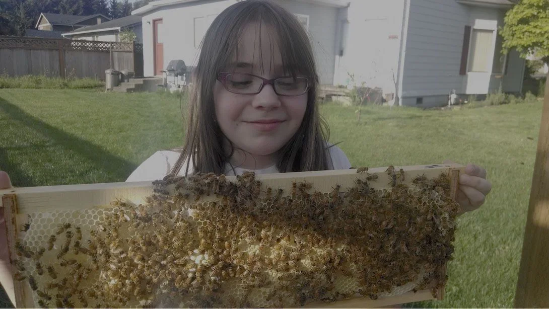 Beekeeping